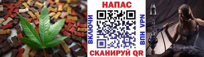 дарнет шоп  блэк спрут сайт  Cannafood конопля  Мглин 