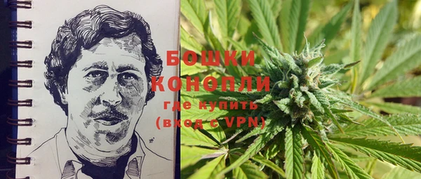 прущие крисы Белоозёрский
