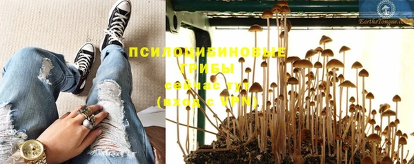 прущие крисы Белоозёрский
