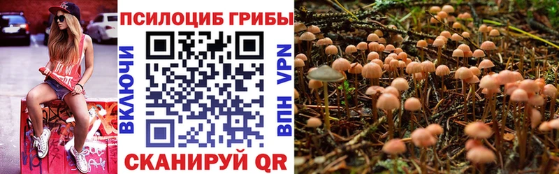 Галлюциногенные грибы ЛСД Мглин